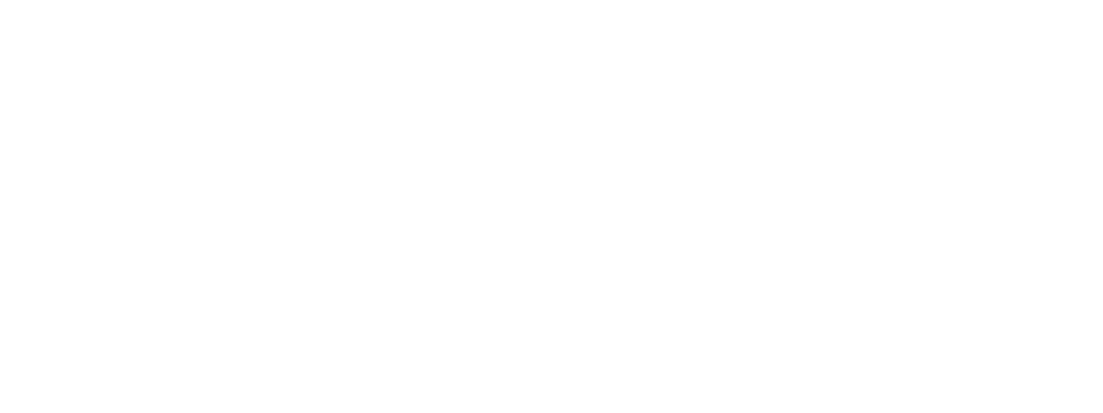 sms group the global leader of modified topioca starch 2