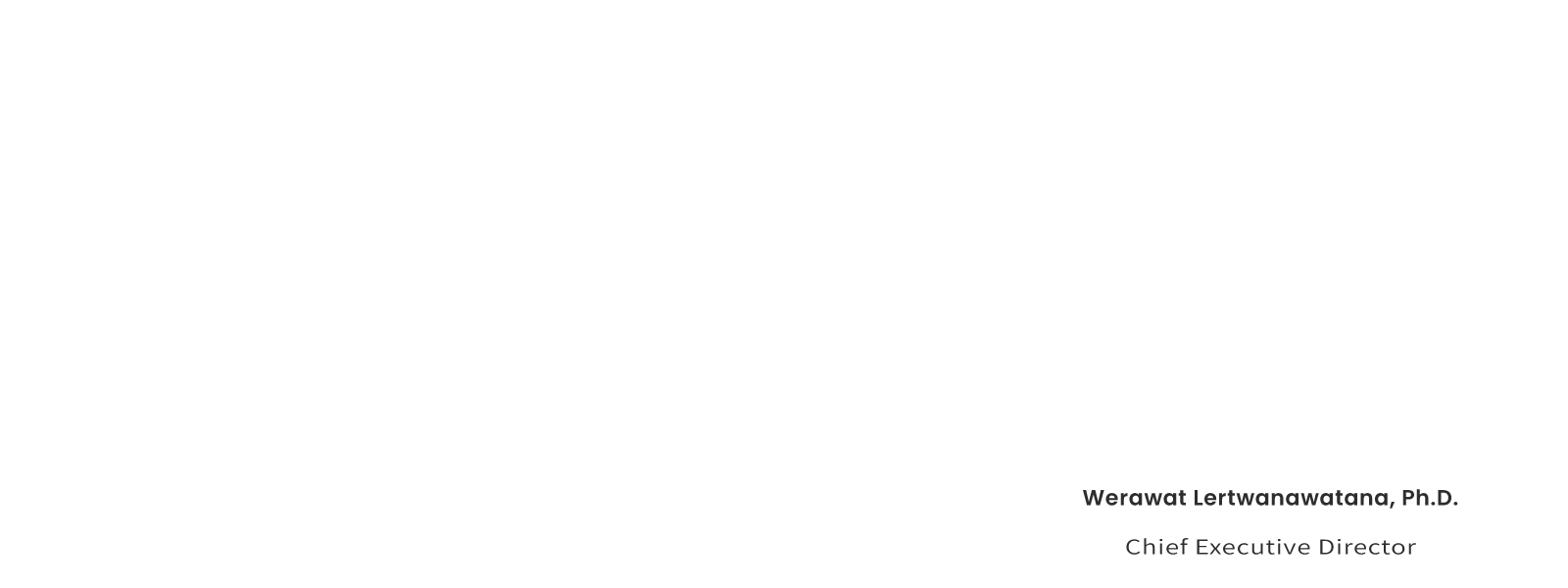 sms group the global leader of modified topioca starch 2