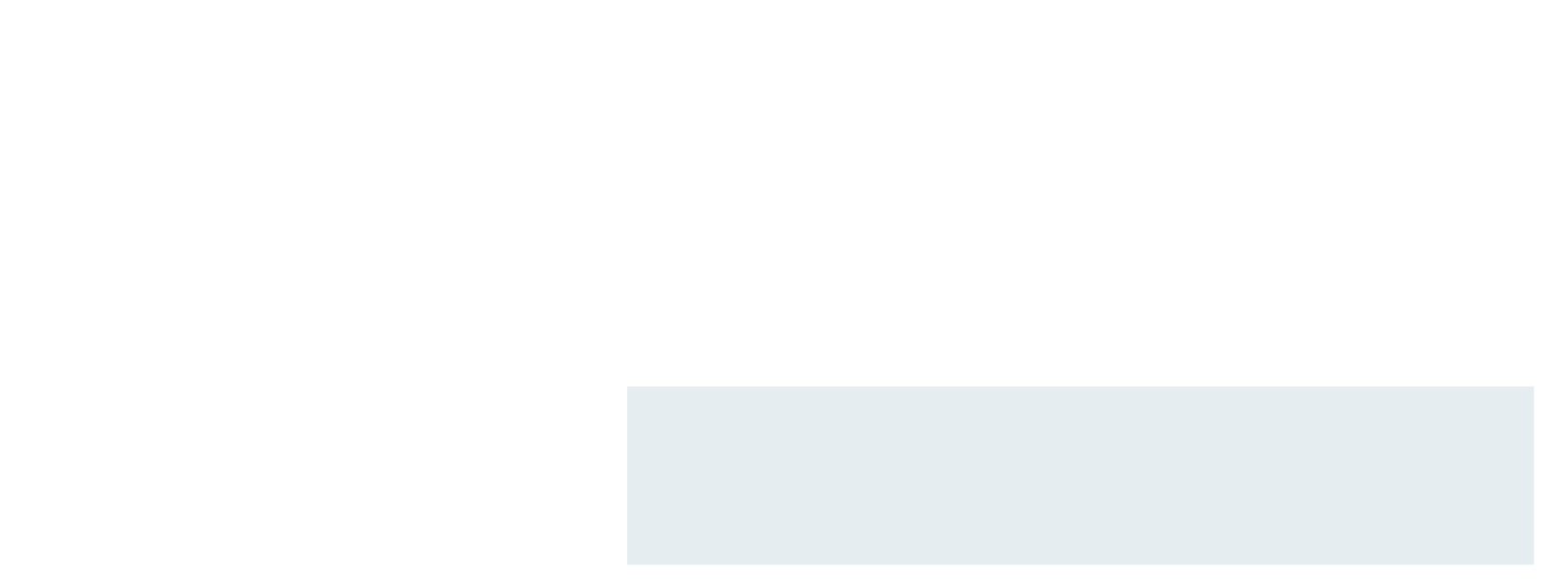 sms group the global leader of modified topioca starch 2