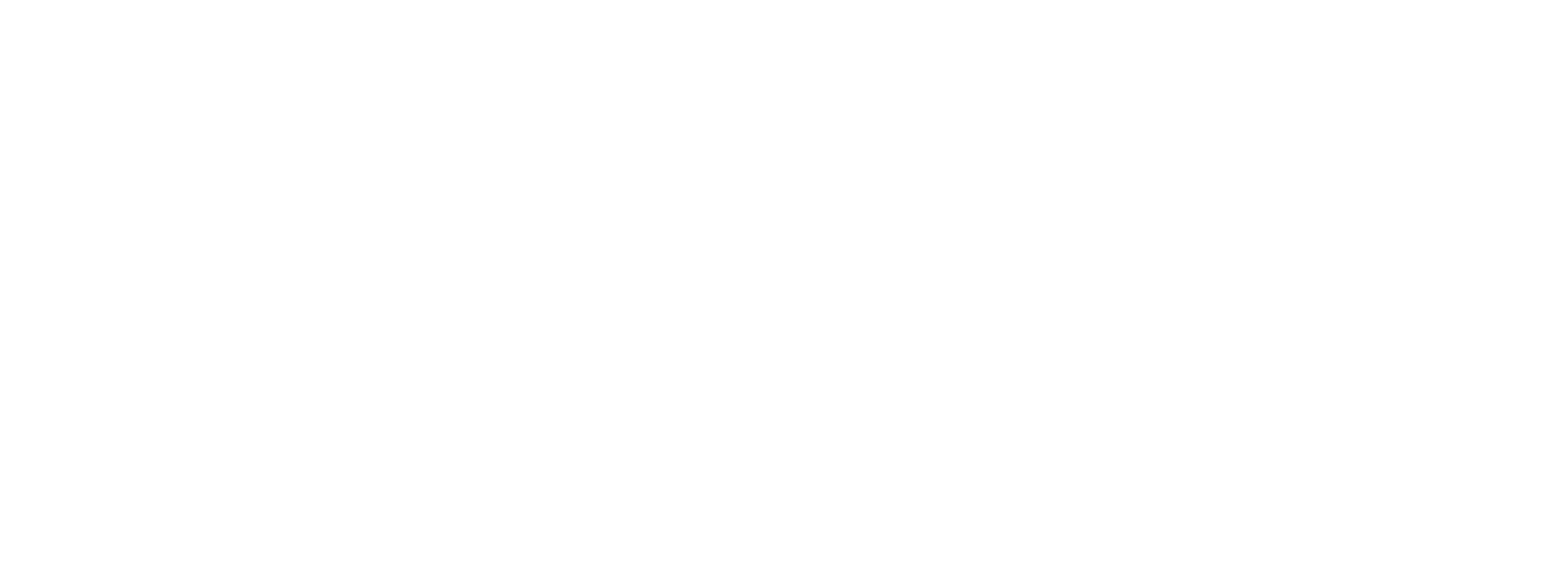 sms group the global leader of modified topioca starch 1