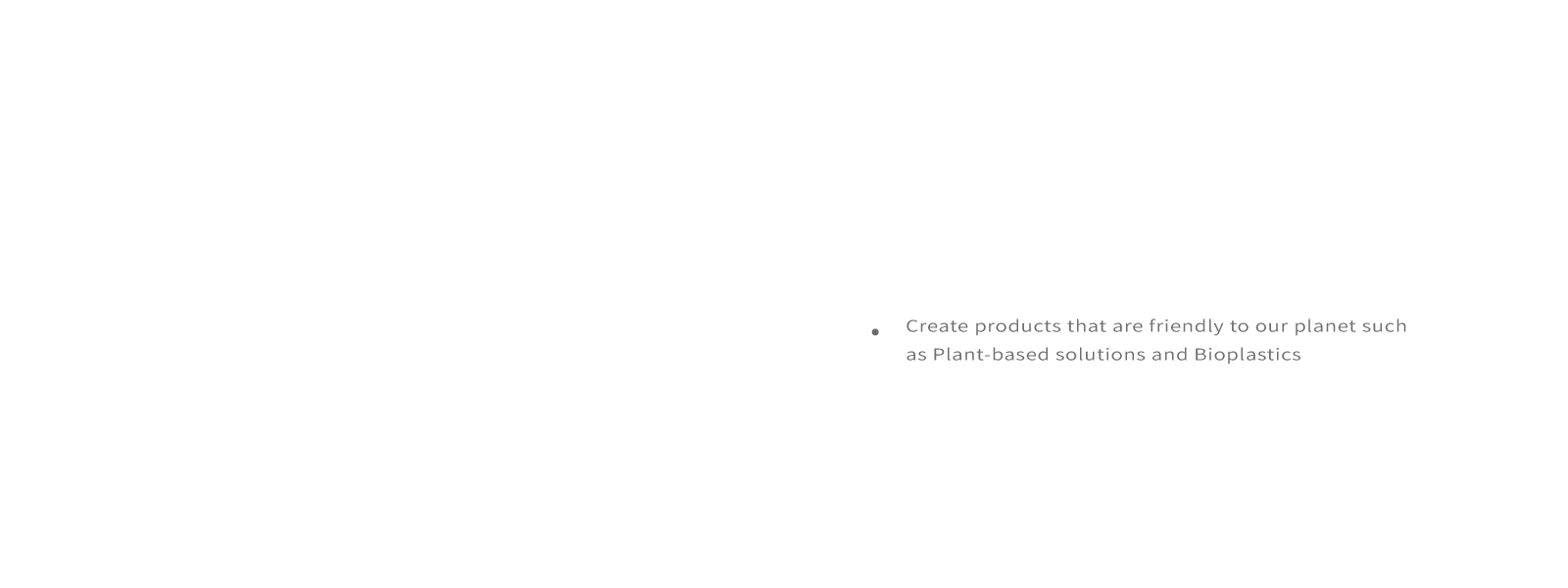 sms group the global leader of modified topioca starch 2