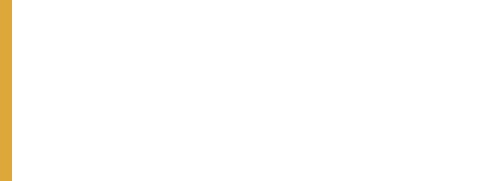 sms group the global leader of modified topioca starch 2