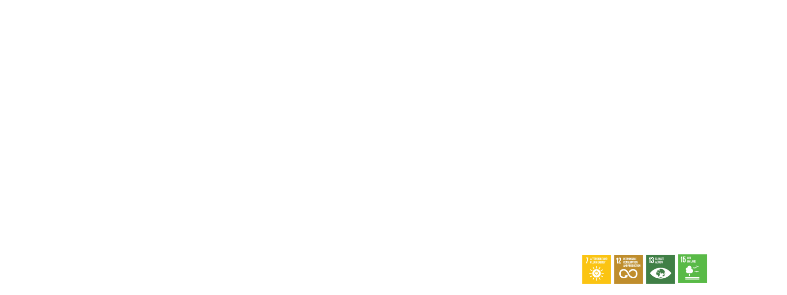 sms group the global leader of modified topioca starch 2