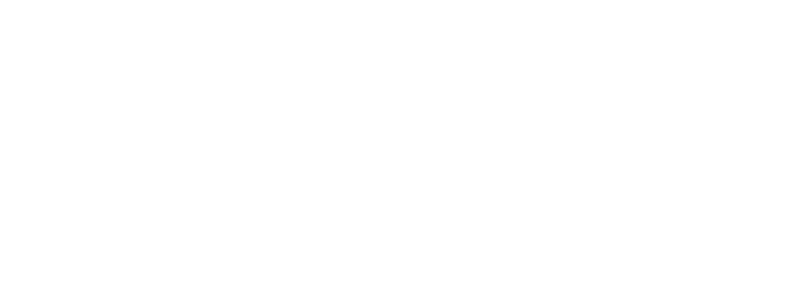 sms group the global leader of modified topioca starch 2