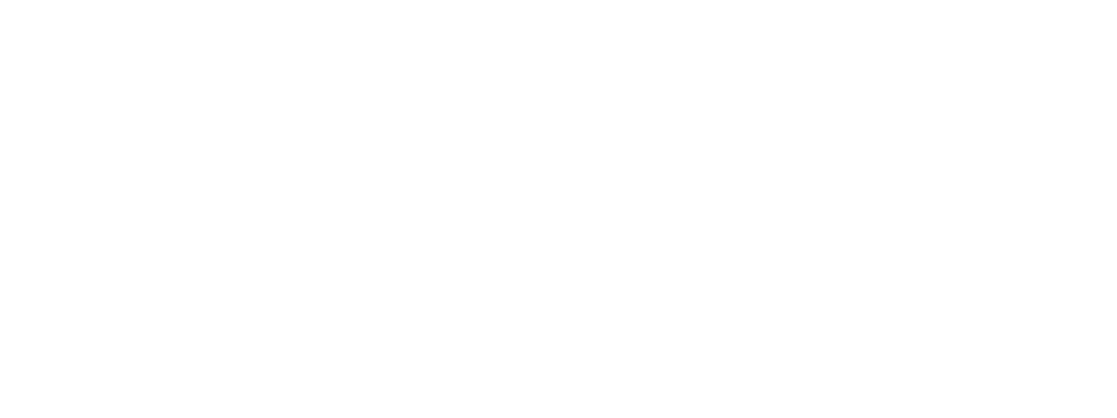 sms group the global leader of modified topioca starch 2