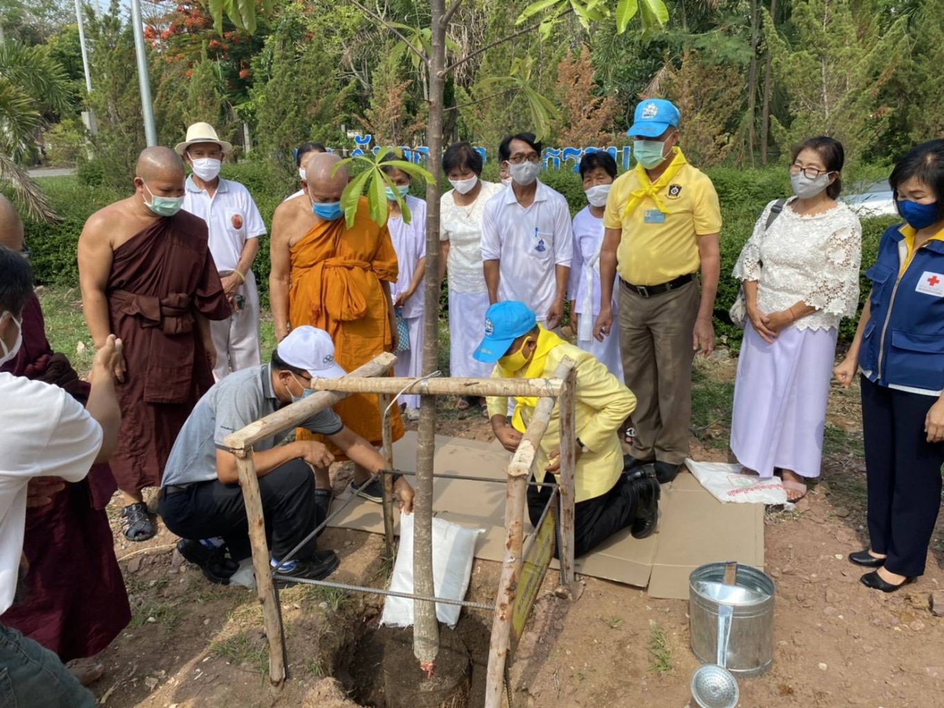 Bamboo Plantation Activity.jpg