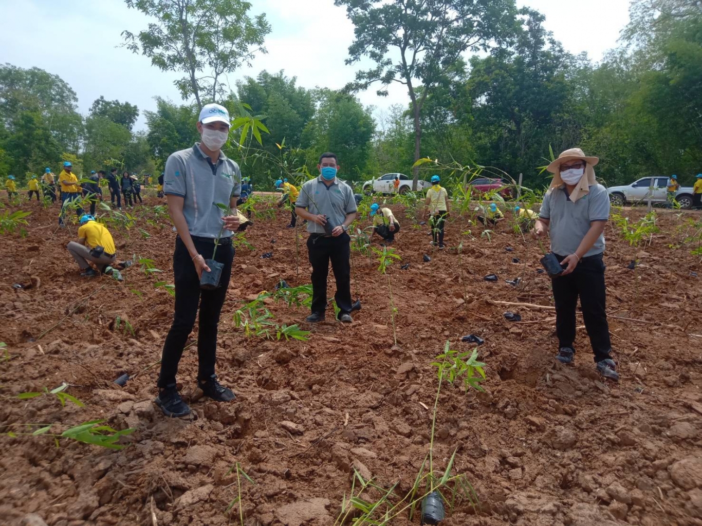 SMS Bamboo Plantation Volunteer.jpg