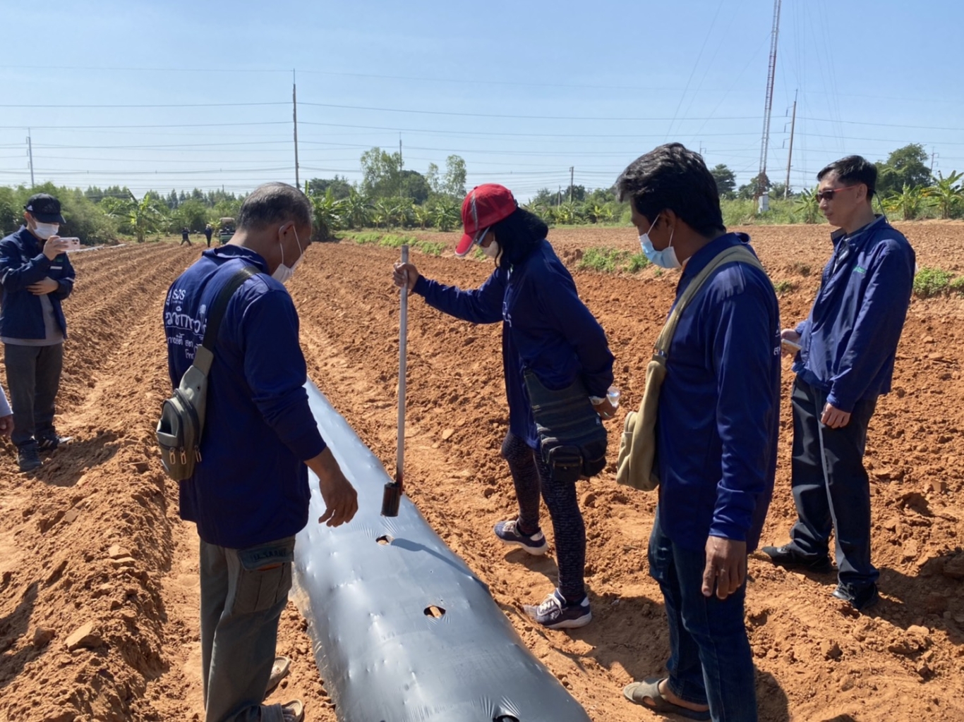 Farmers participated in planting.jpg