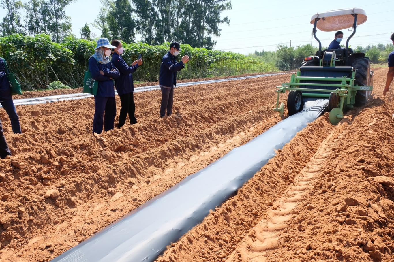 Mulch Film Machine.jpg