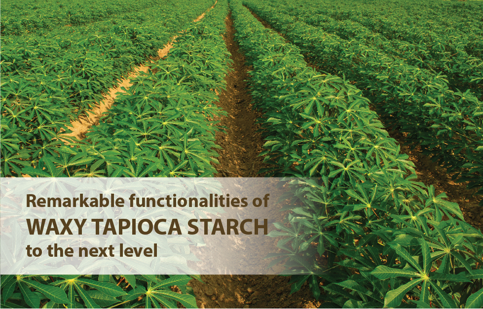 SMS Waxy Tapioca starch Publication